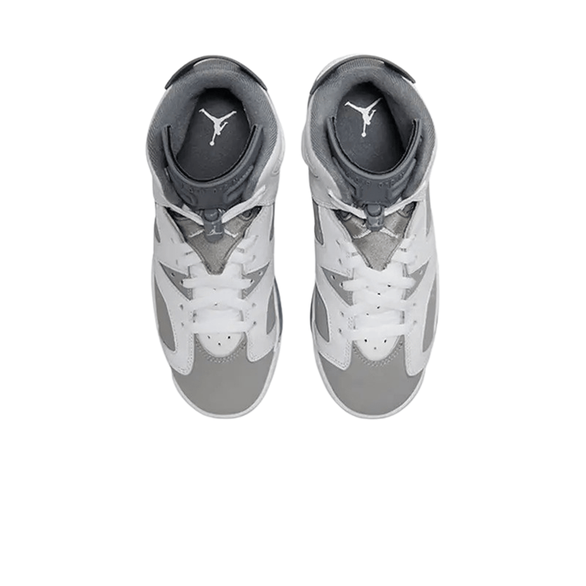 Air Jordan 6 Retro 'Cool Grey'